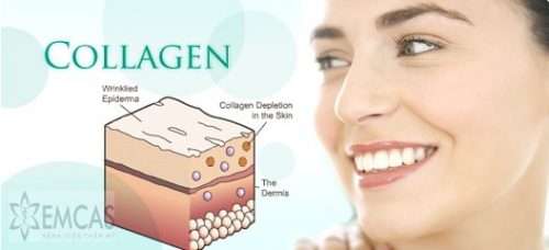 nhung-li-do-nen-su-dung-collagen-hang-ngay- 1